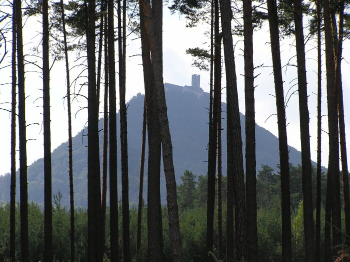 Cyklovýlet