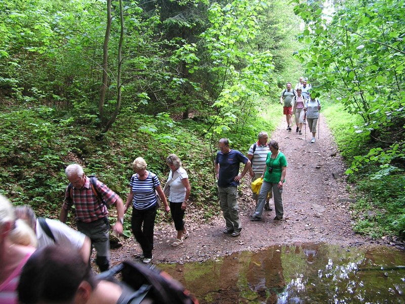 21.5.2011
