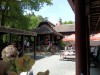 foto - 21