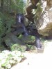 foto - 16